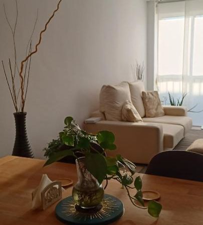 Apartamento Entero De Tres Habitaciones, Cerca De La Playa! Acogedor, Luminoso Y Tranquilo マルグラット・デ・マル エクステリア 写真
